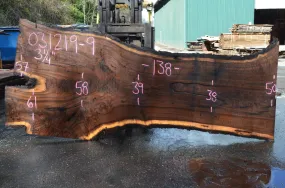 031219-09 Oregon Black Walnut Slab