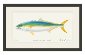 California Yellowtail II Print