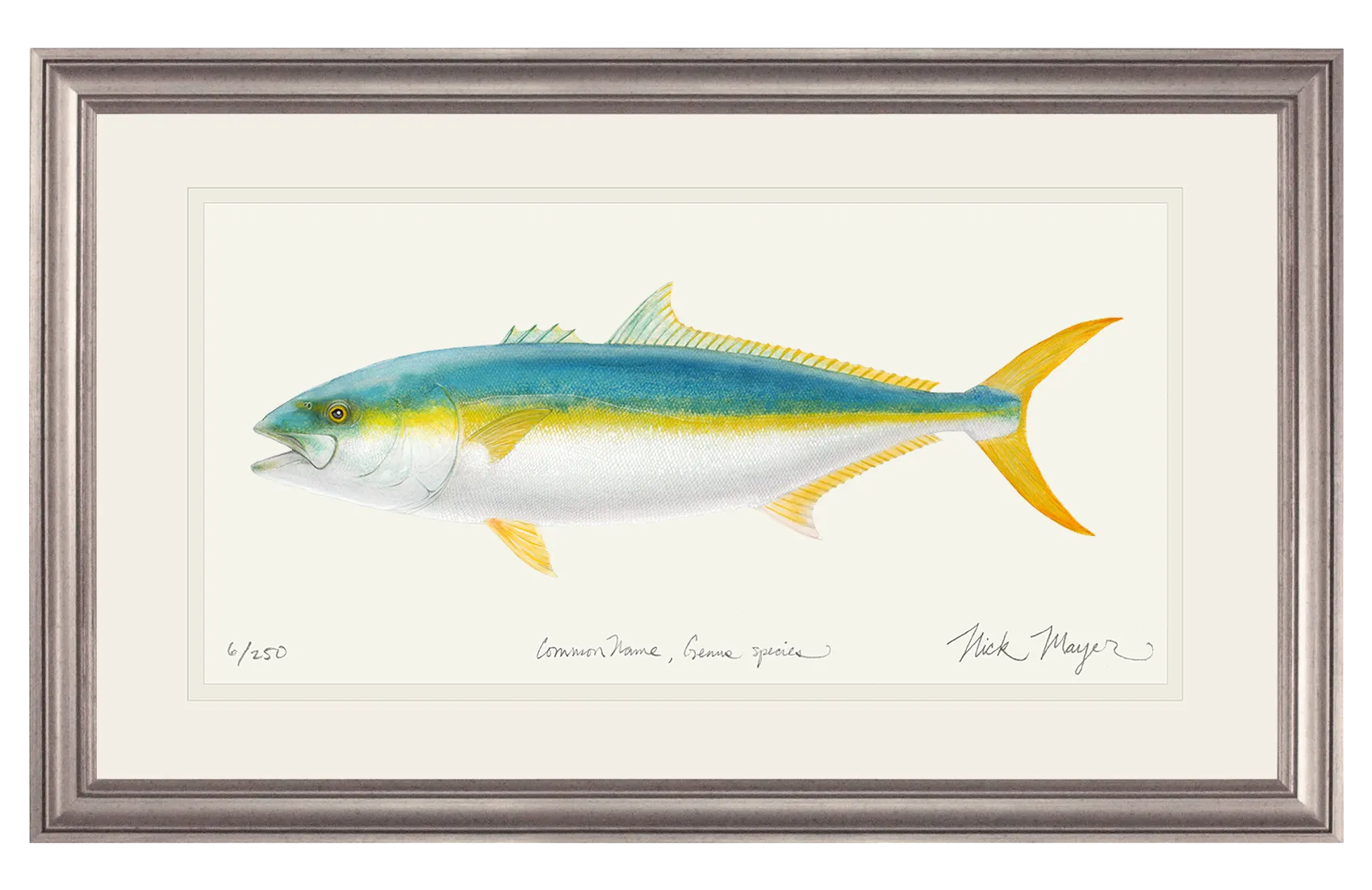 California Yellowtail II Print