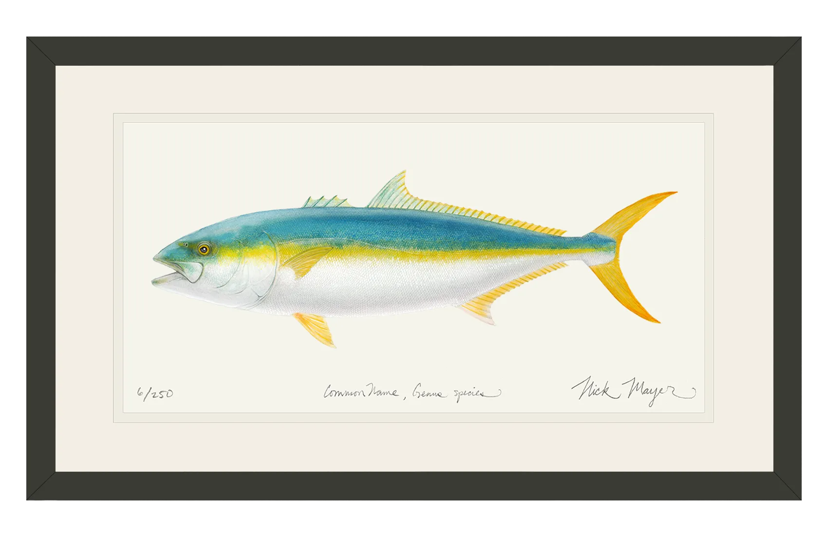 California Yellowtail II Print