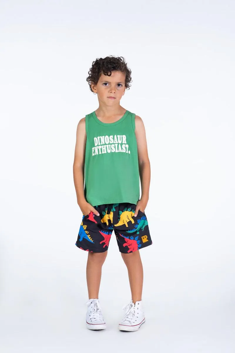 Dino Time Boardshorts