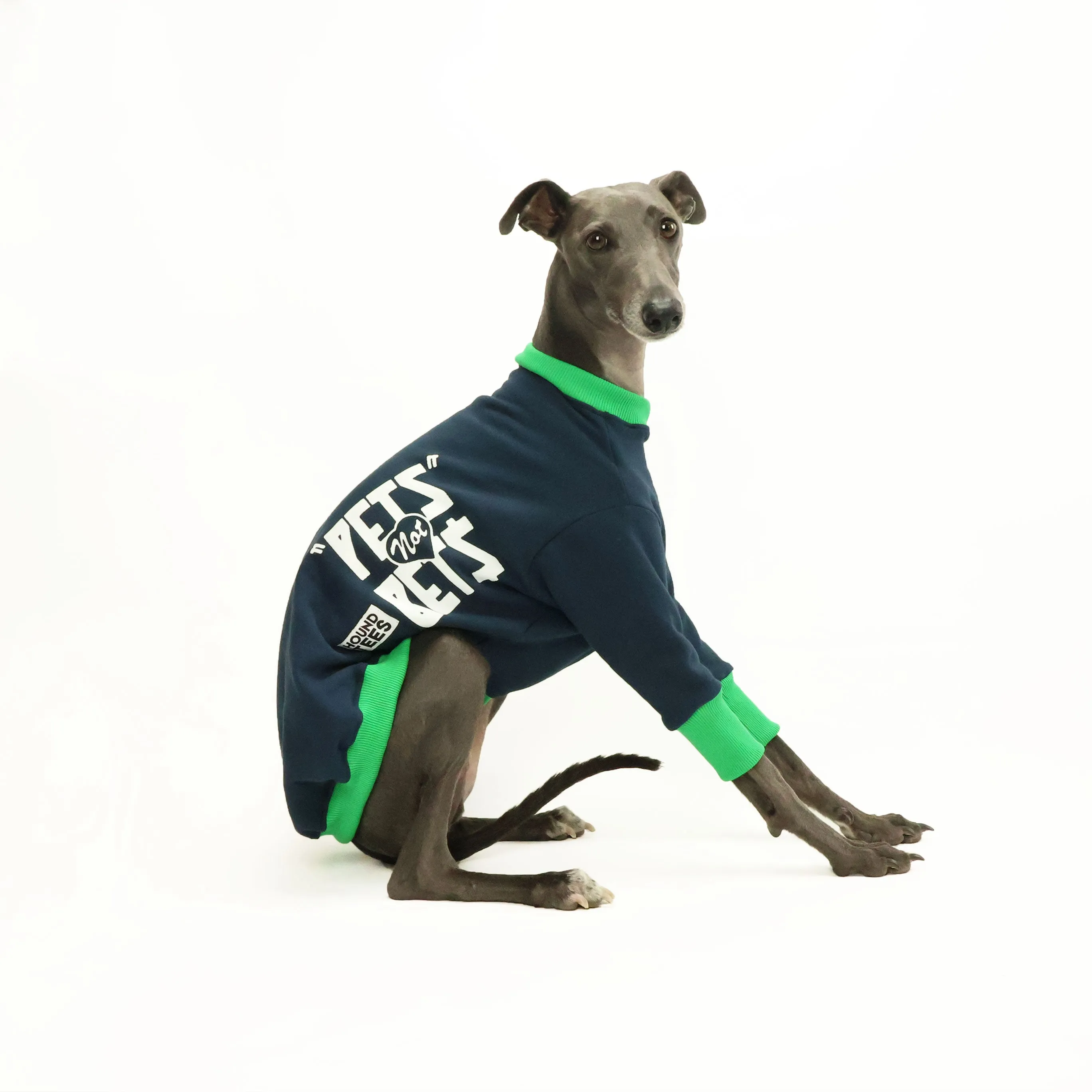 Pets Not Bets Navy WHIPPET Sweater