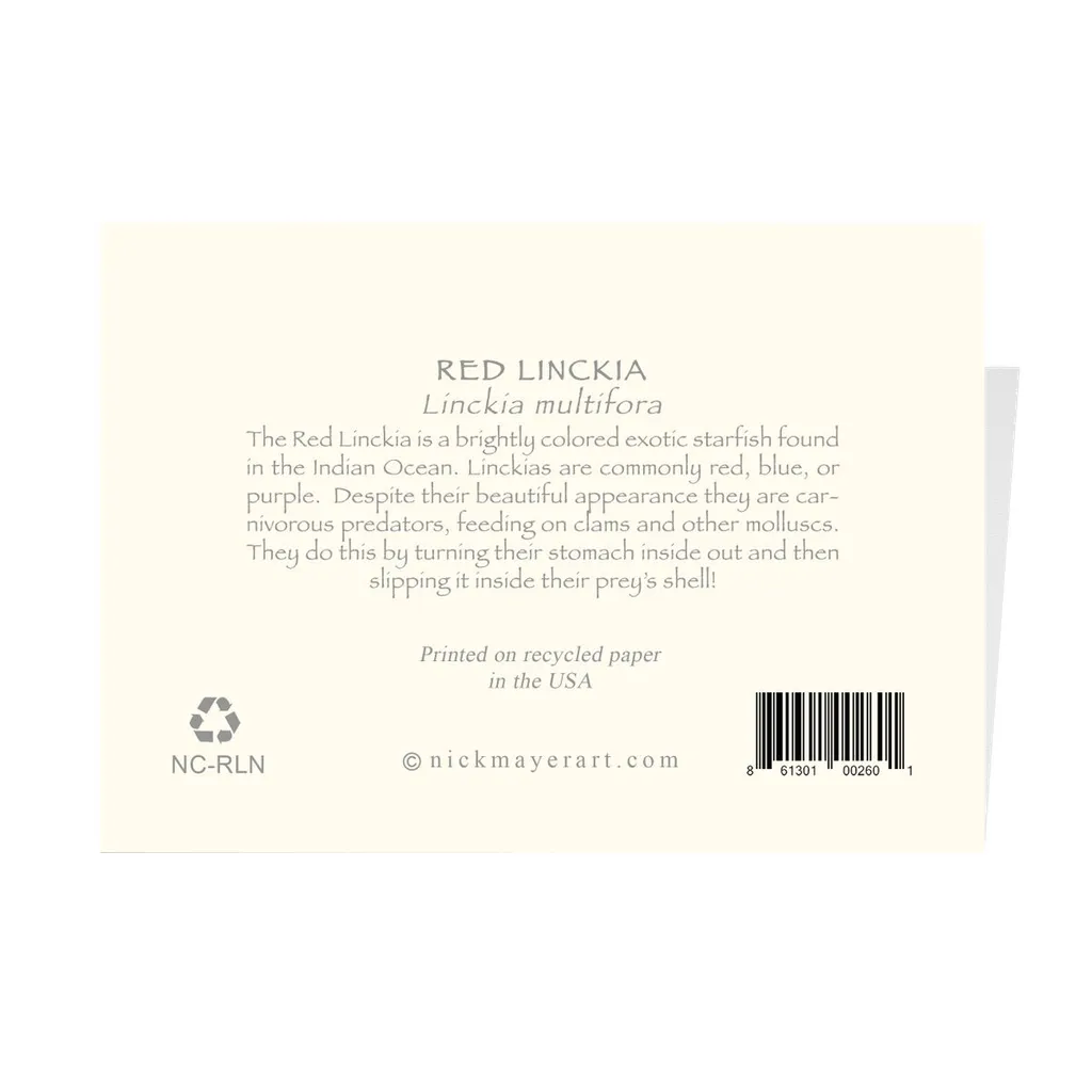 Red Linckia Notecards