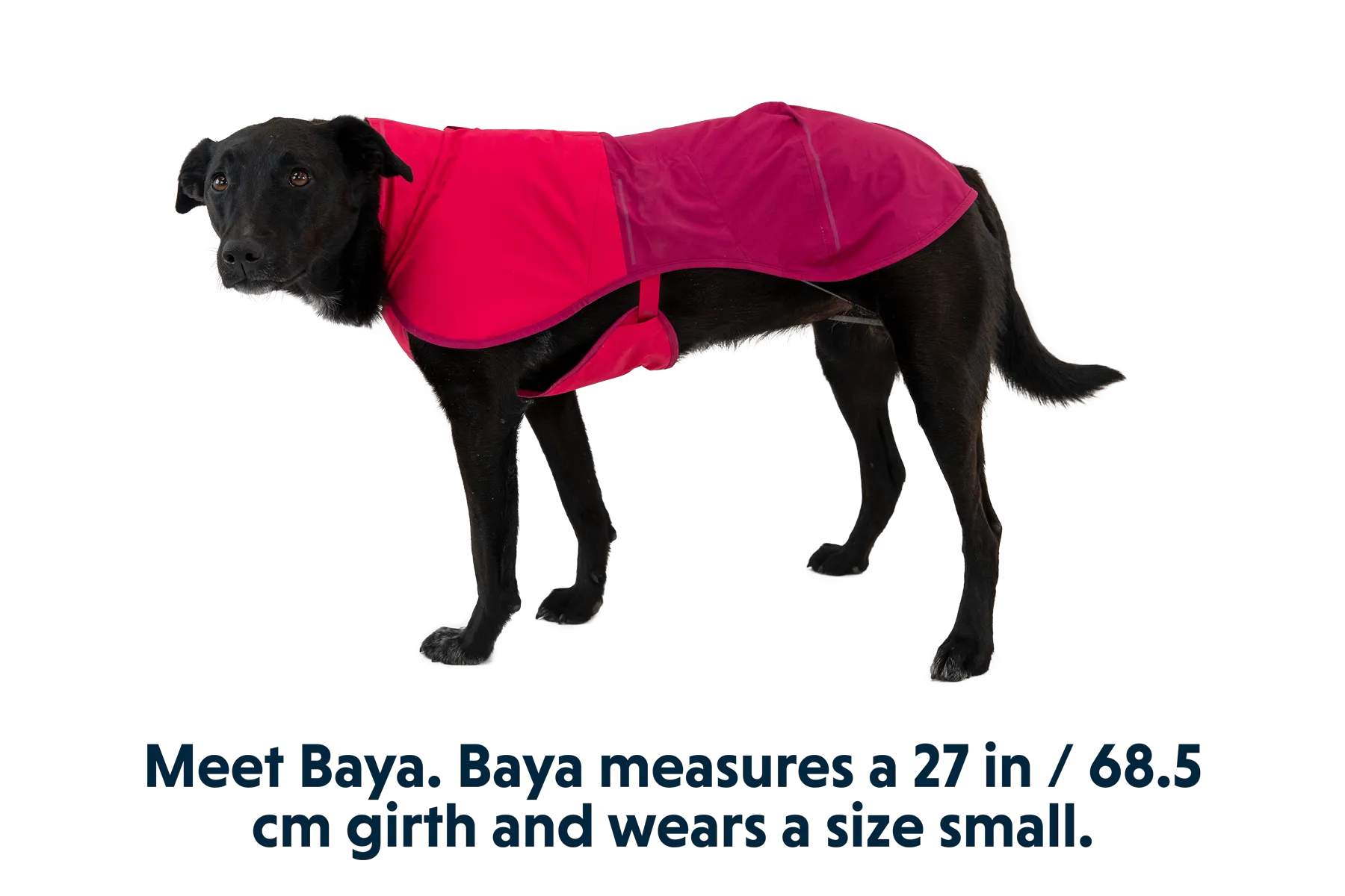 RP - Sun Shower™ Dog Raincoat