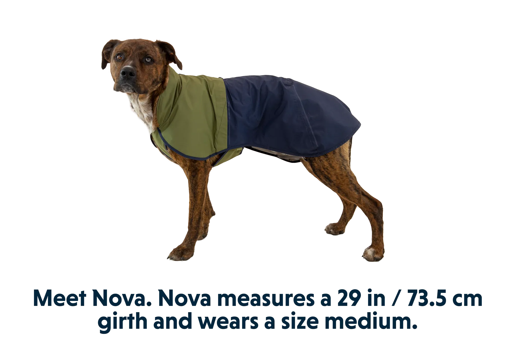 RP - Sun Shower™ Dog Raincoat