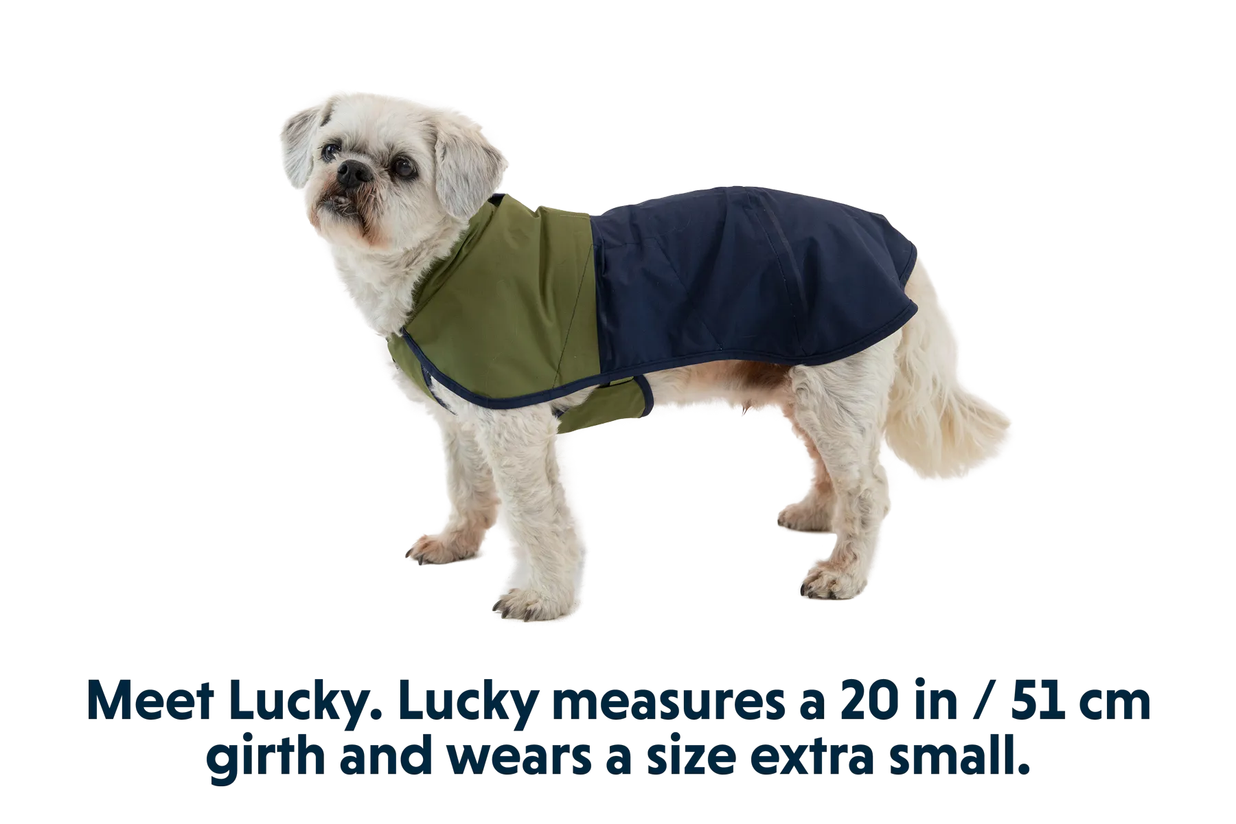 RP - Sun Shower™ Dog Raincoat