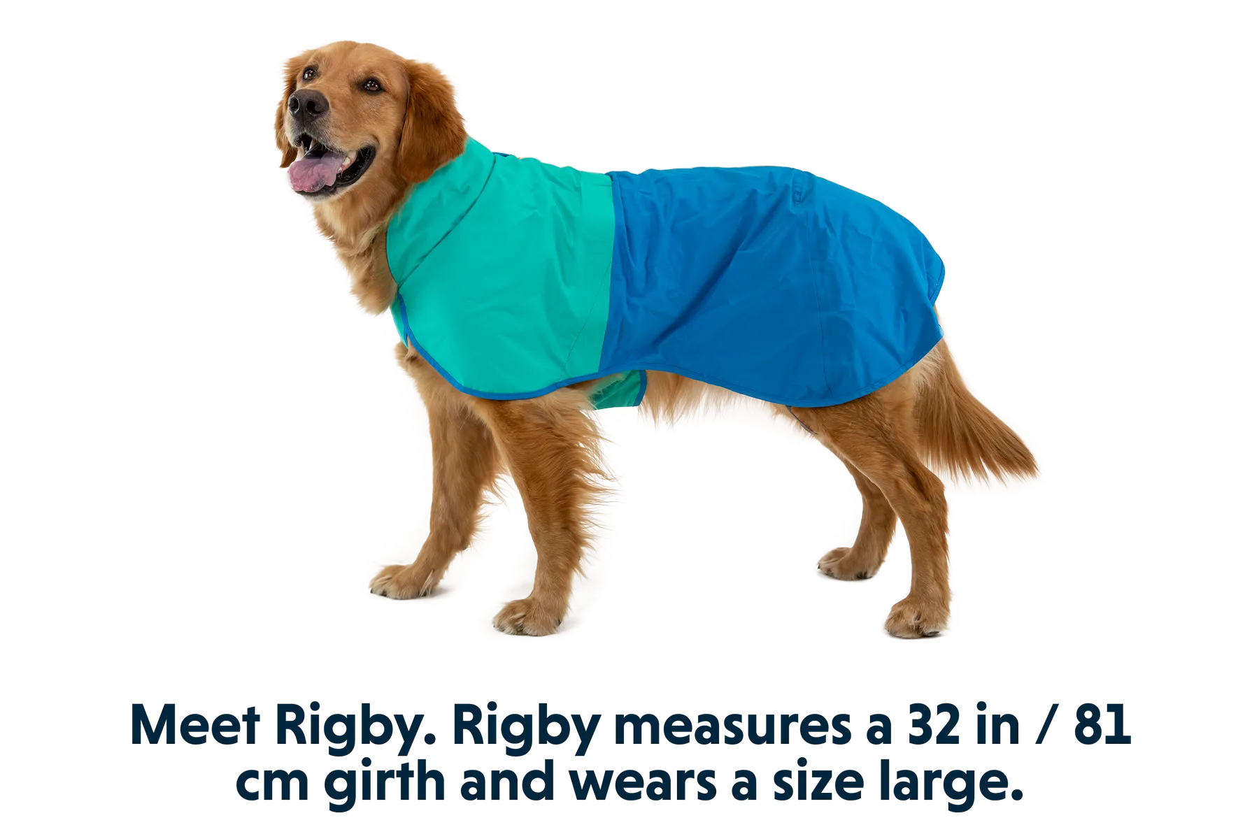 RP - Sun Shower™ Dog Raincoat